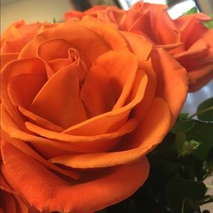 Meet your Posher, Nancy